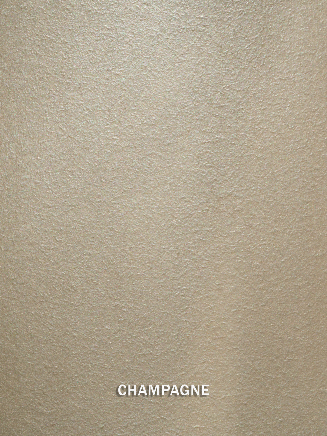 Metallic Paint