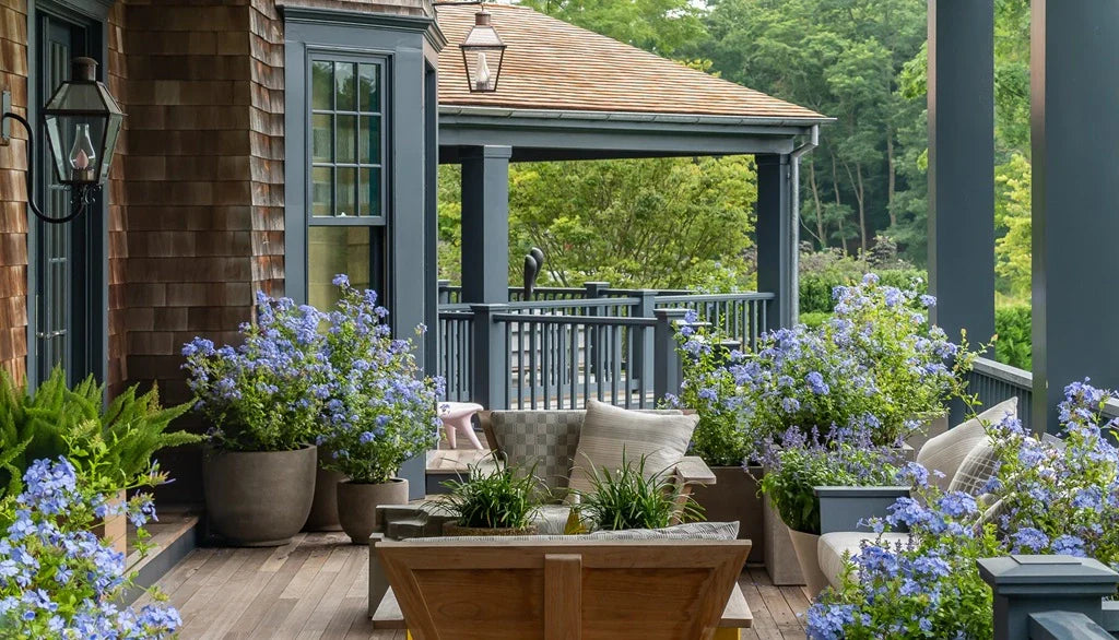 Exterior Paint - The Paint Laboratory