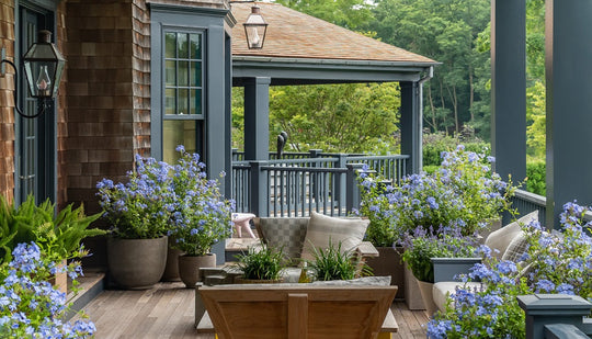 Exterior Paint - The Paint Laboratory