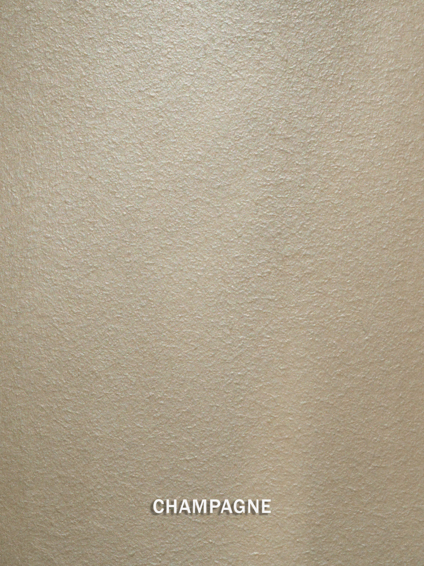 Champagne Metallic Paint enlarged