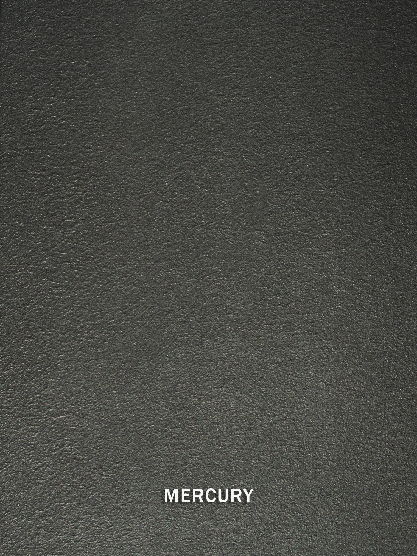 Mercury Metallic Paint enlarged