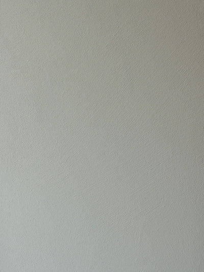 Suede Paint Samples